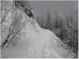 Koča pri Savici - Planina Lopučnica